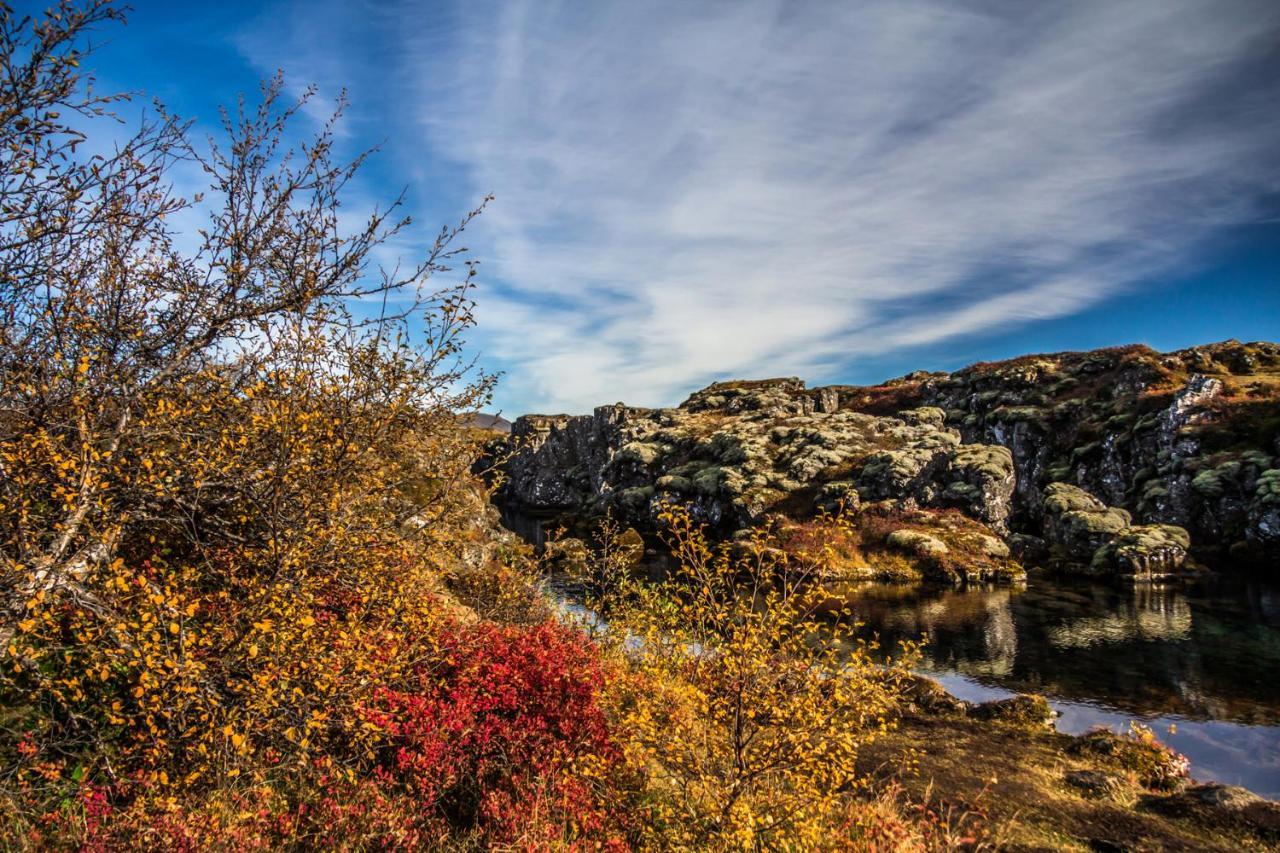 Lake Thingvellir Cottages Blaskogabyggd Bagian luar foto